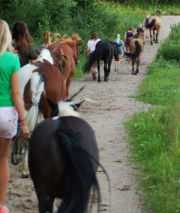 Kuva: Leirielämää